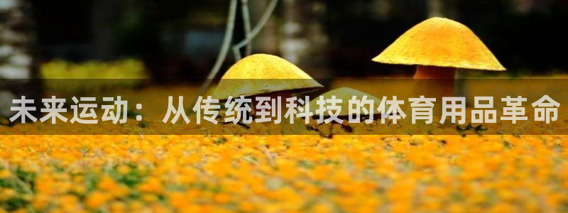 3377体育官网下载软件：未来运动：从传统到科技的体
