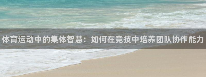 3377体育官方正版app新能源：体育运动中的集体智慧：如何