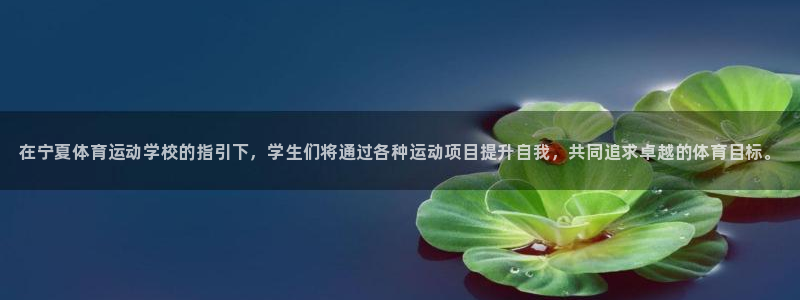 3377体育官方集团官网：在宁夏体育运动学校的指引下，学生们