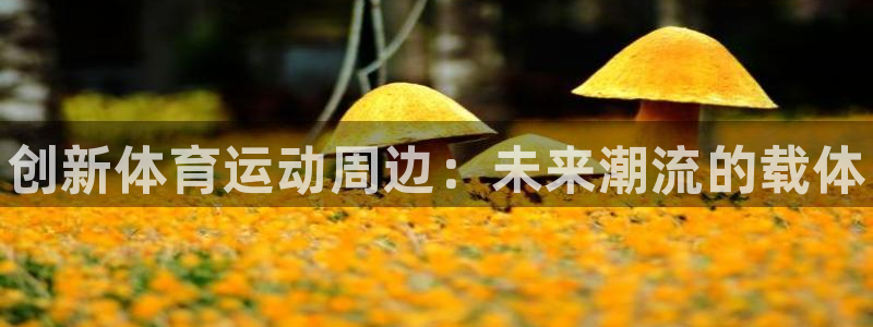 3377体育官网下载平台是正规平台吗安全吗：创新体育运动周边