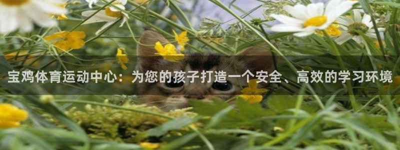 海南3377体育官网下载发展怎么样：宝鸡体育运动中心：为您的