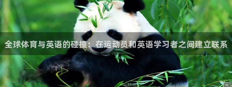 3377体育官网下载招商电话地址查询