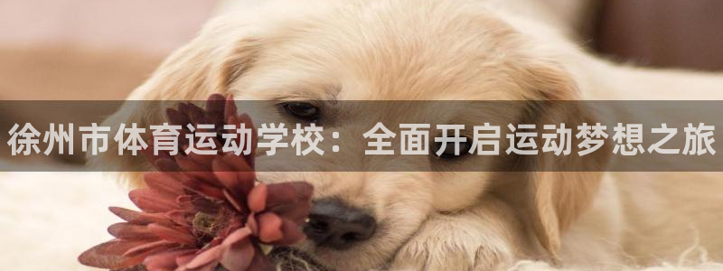 3377体育官网下载招商电话号码是多少：徐州市体育运
