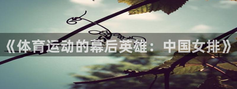 3377体育官网下载开户：《体育运动的幕后英雄：中国