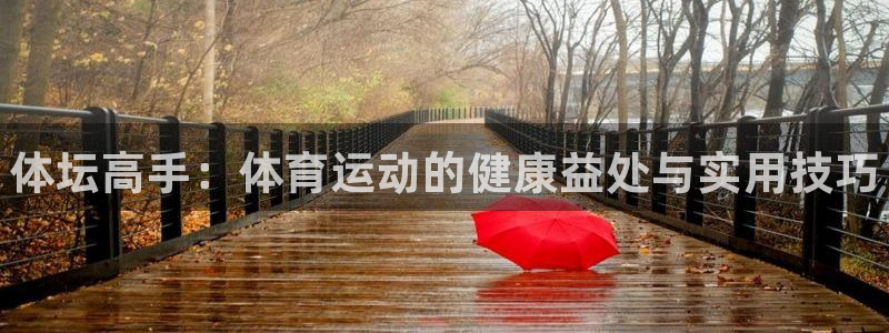 3377体育官方正版app新能源：体坛高手：体育运动