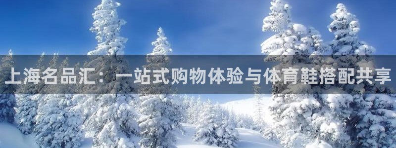 3377体育官网下载开户：上海名品汇：一站式购物体验