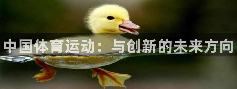 3377体育官方正版app集团E.ON：中国体育运动：与创新