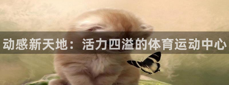 3377体育官网下载平台注册：动感新天地：活力四溢的