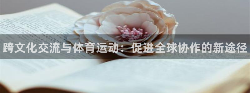 德国3377体育官方正版app集团：跨文化交流与体育运动：促