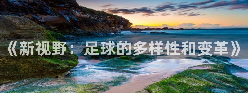 3377体育官网下载平台假的吗是真的吗：《新视野：足球的多样