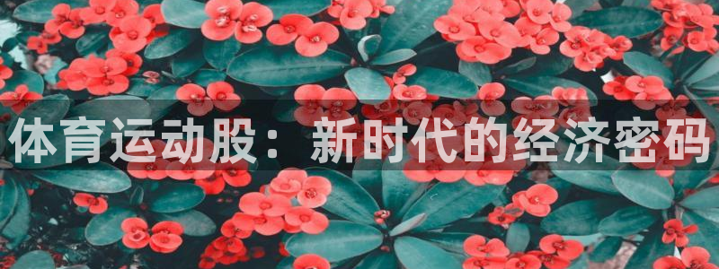 3377体育官方正版app集团官网首页网址：体育运动