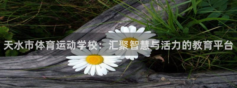 3377体育官网下载招商电话是多少：天水市体育运动学