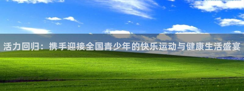 3377体育官网下载平台注册流程图：活力回归：携手迎接全国青