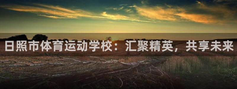 3377体育官方正版app代理：日照市体育运动学校：