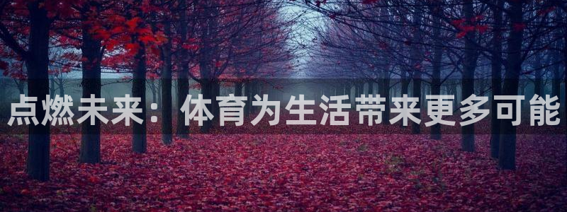 3377体育官方平台体育：点燃未来：体育为生活带来更多可能