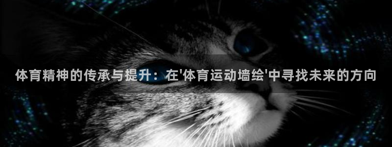 3377体育官网下载平台注册：体育精神的传承与提升：在\'体
