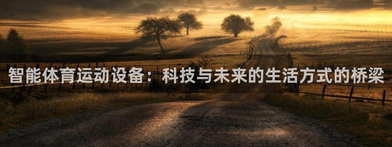 3377体育官网下载招商电话：智能体育运动设备：科技与未来的