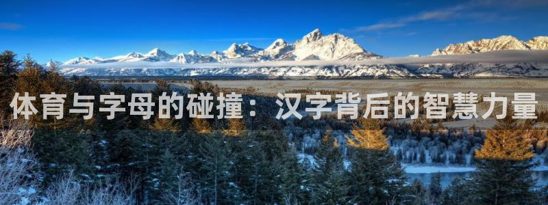 3377体育官网下载平台注册要钱吗安全吗：体育与字母