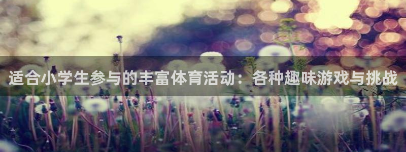 3377体育官方正版app娱乐平台：适合小学生参与的丰富体育