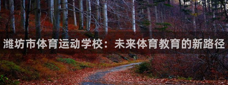 3377体育官方正版app代理