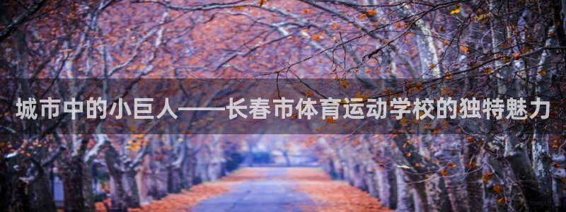 3377体育官方正版app开户