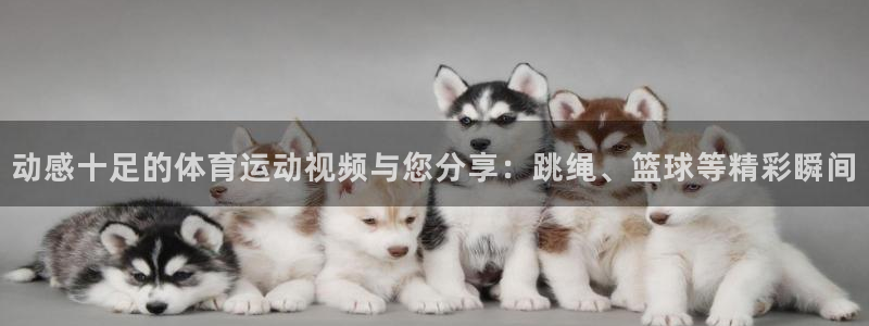 3377体育官网下载平台APP