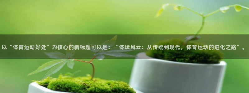 3377体育是干嘛的