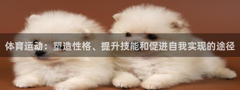  3377体育提款失败的原因分析：体育运动：塑造性格、提升技能