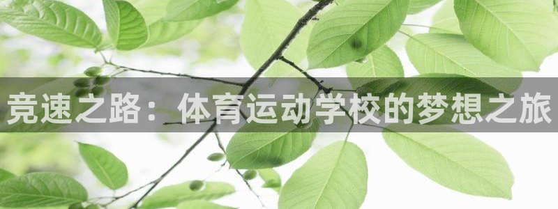 3377体育官网下载：竞速之路：体育运动学校的梦想之旅