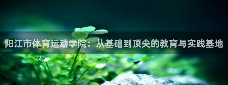  3377体育是割韭菜平台吗知乎：阳江市体育运动学院：从基础到