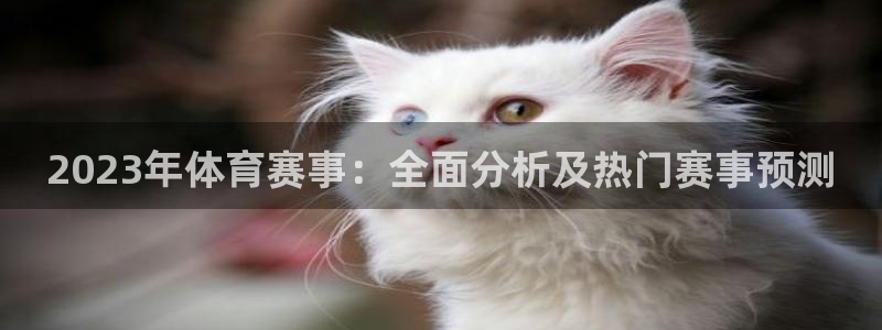  3377体育是割韭菜平台吗知乎：2023年体育赛事：全面分析