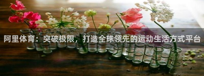 3377体育手机平台：阿里体育：突破极限，打造全球领先的运动
