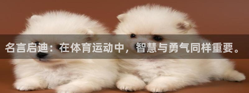 3377体育官网址：名言启迪：在体育运动中，智慧与勇气同样重