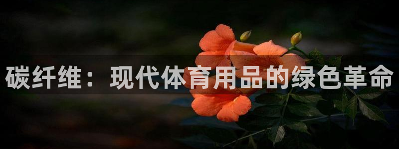 3377体育手机平台：碳纤维：现代体育用品的绿色革命