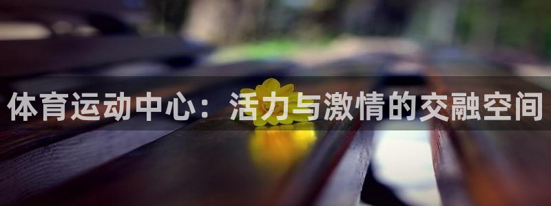 3377体育现在叫什么：体育运动中心